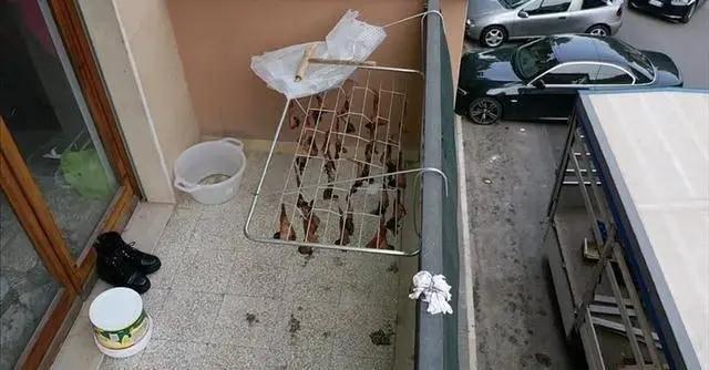 華人陽(yáng)臺(tái)曬雞翅被看成曬蝙蝠，意大利人報(bào)警了，市長(zhǎng)都來(lái)圍觀······